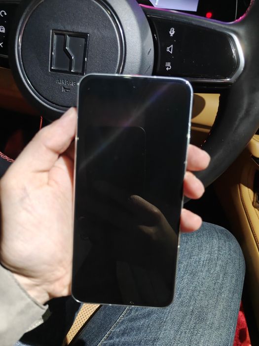 Xiaomi 13 12/256 Global