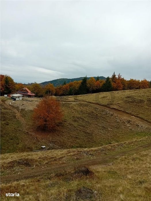 Teren extravilan la Cresuia, Stana de Vale