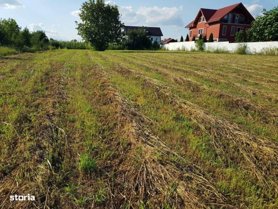 Teren intravilan – Adunatii Copaceni | 3.399 mp | Ideal investitie