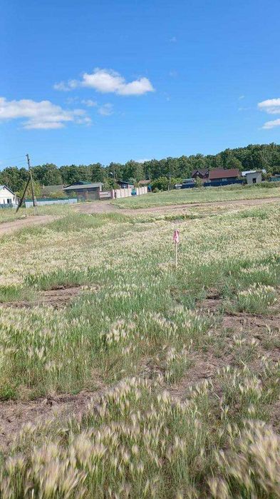 Земельный участок