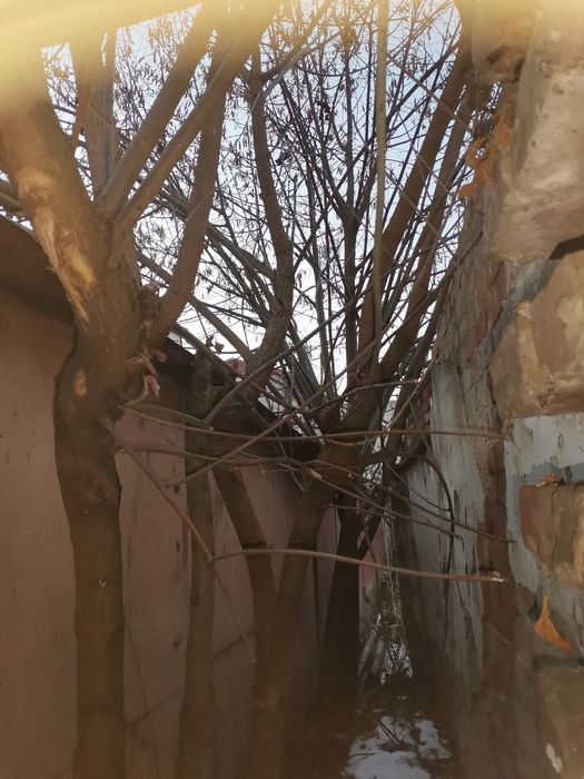 Ofertă! De Vânzare urgent  suprafață de 13 mp cu constructie  magazie