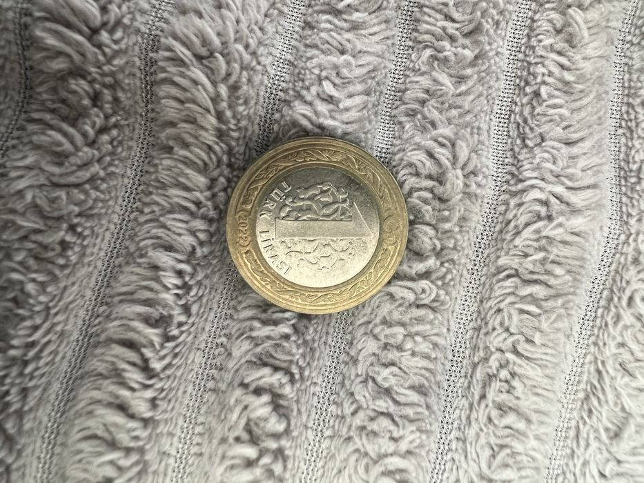 Национальная валюта Турции — турецкая лира.