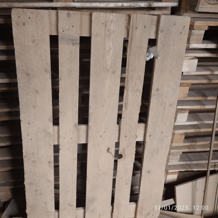 Euro Paddon sotiladi