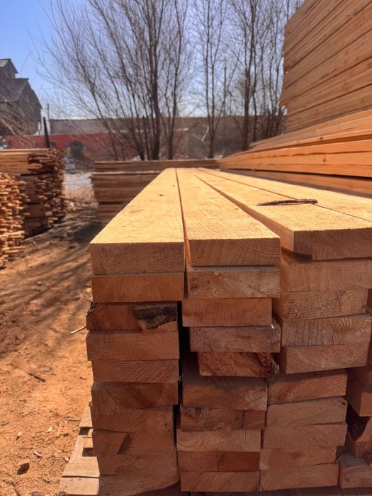 Лес агаш Сртопила балка