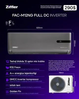 Zifler 12 lnverter