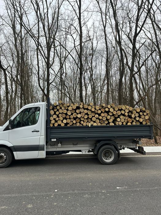 Pari de salcam, stâlpi de salcam