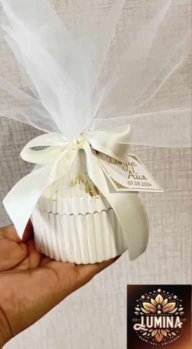 Тойбастар гипс шкатулка, ракушка 290