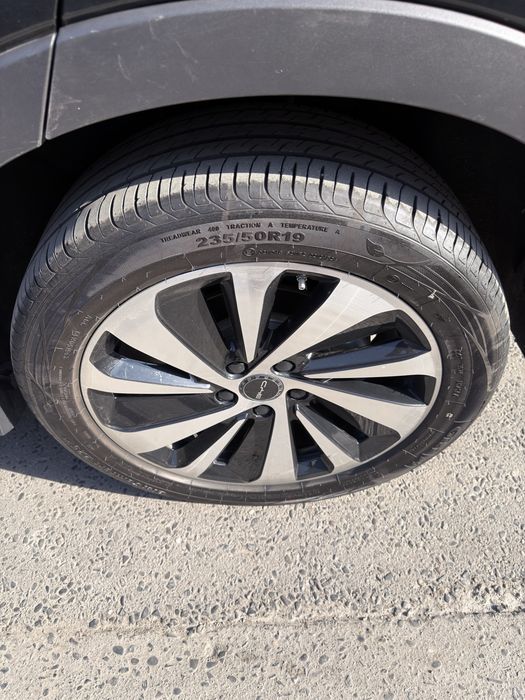 Byd chempion 150 sotiladi