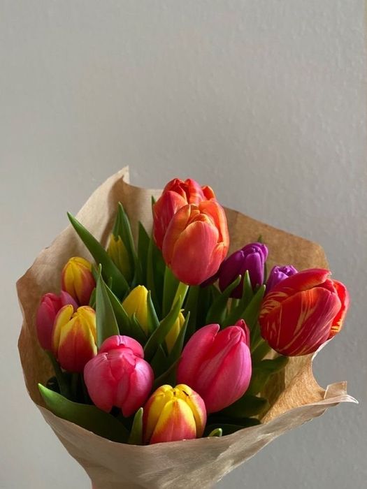 Тюльпаны Алматы свежая поставка