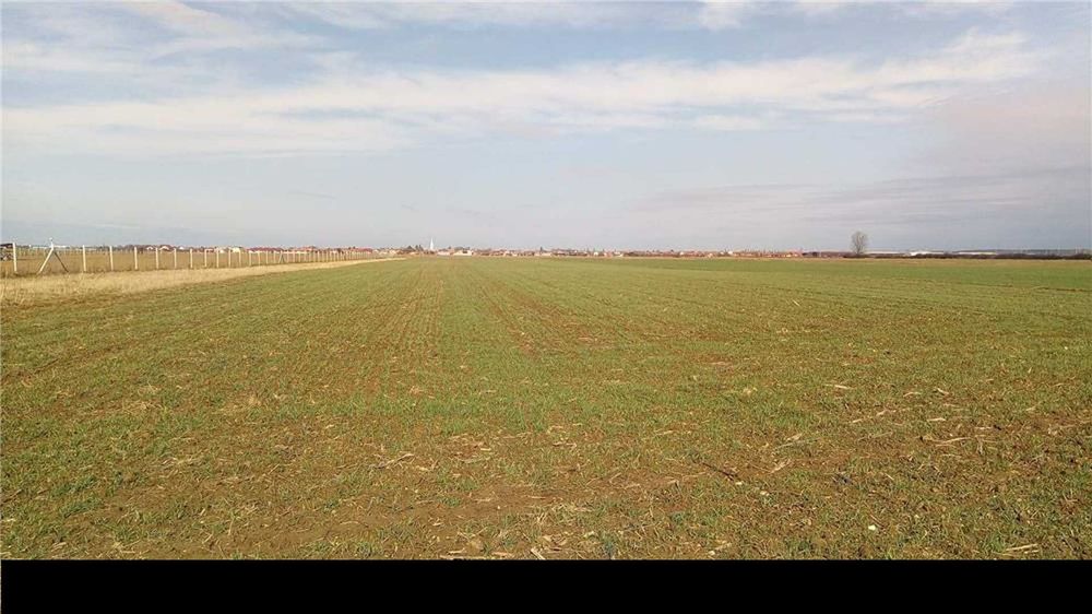 Teren agricol extravilan de vânzare – Borș / Sîntion, județul Bihor