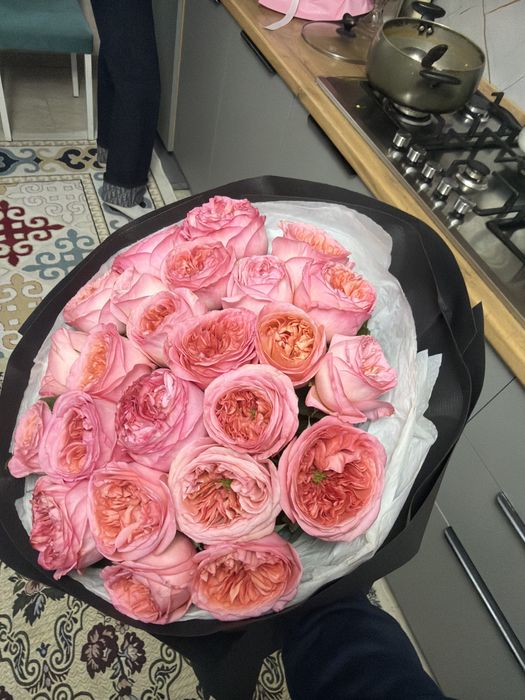 Срочна гүл солмаған азанда келген онша емес жігіттен