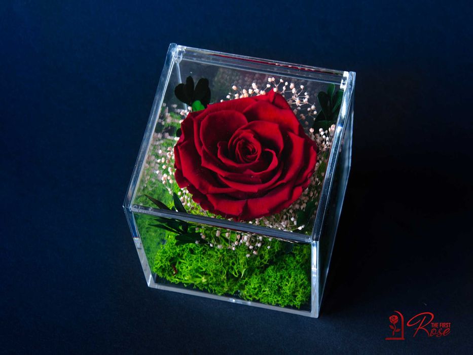 Истинска Вечна Роза в Кутия / Оригинален и Стилен Подарък за Жена