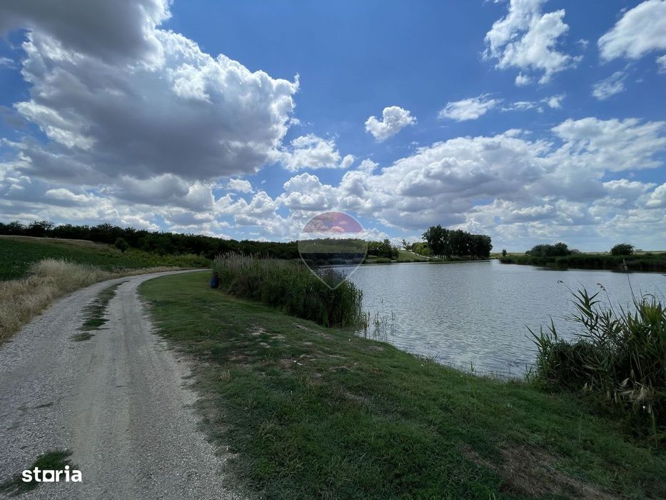 Teren 4.350 mp langa Balta Pasarea, Frumusani