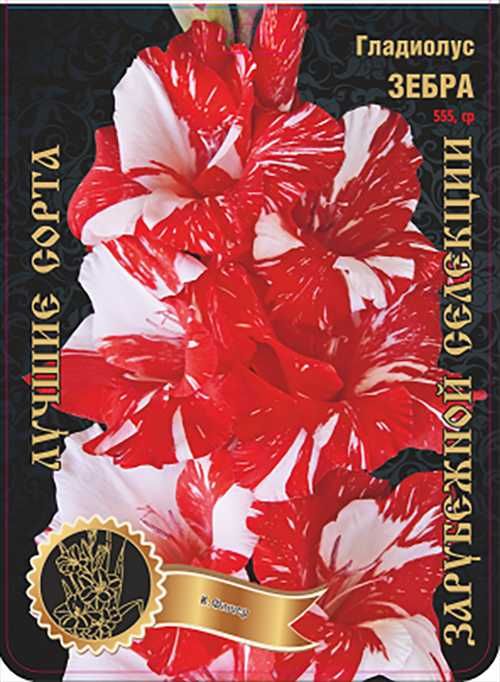 Гладиолусы луковицы