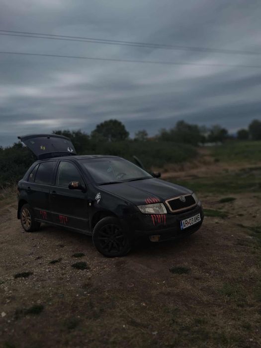 Vand skoda fabia