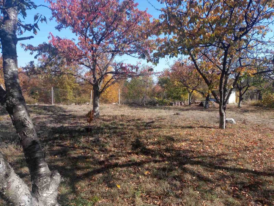 Продава се Къща в с. Паталеница, Област Пазарджик - 22 кв.м за 1500 €/кв.м - Снимка #16