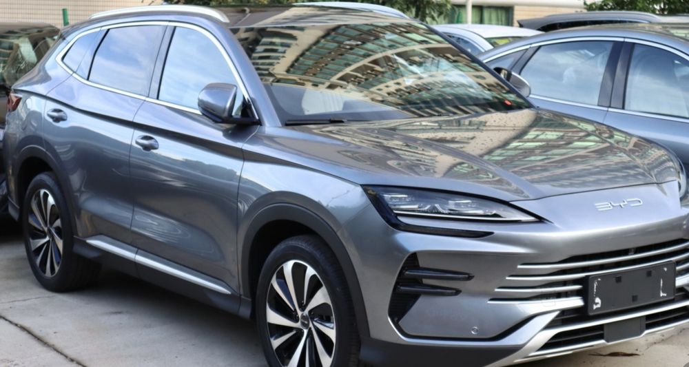 Byd champion Gibrid 2024 navarot