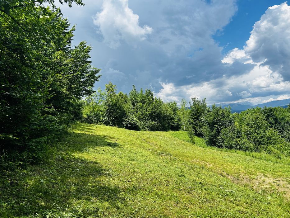 Teren intravilan de vânzare – Poiana Câmpina, Prahova | 1357 mp | Lângă pădure