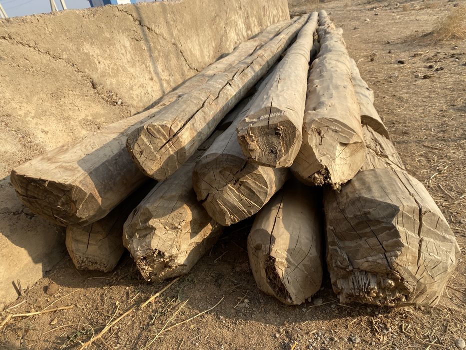 Балкалар сатылады