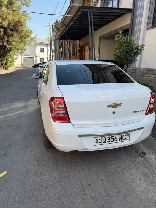 Cobolt yili 2024 Rangi oq