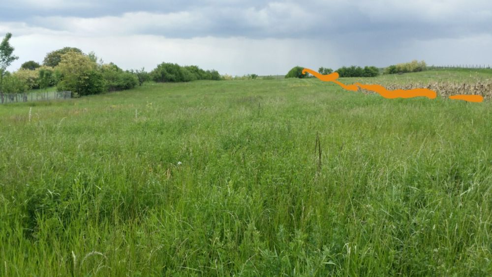 Teren  intravilan de vânzare