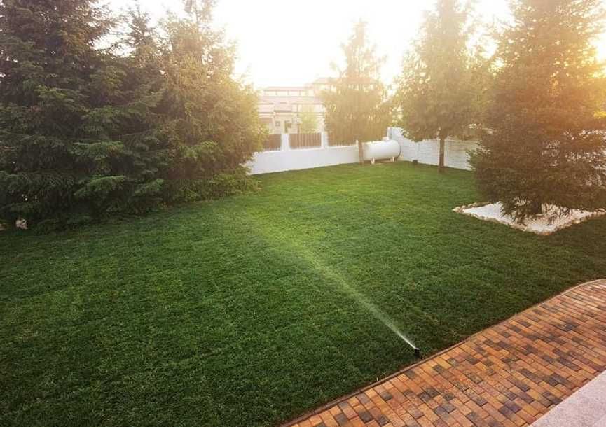 Gazon Verde Dens pentru Amenajări Premium