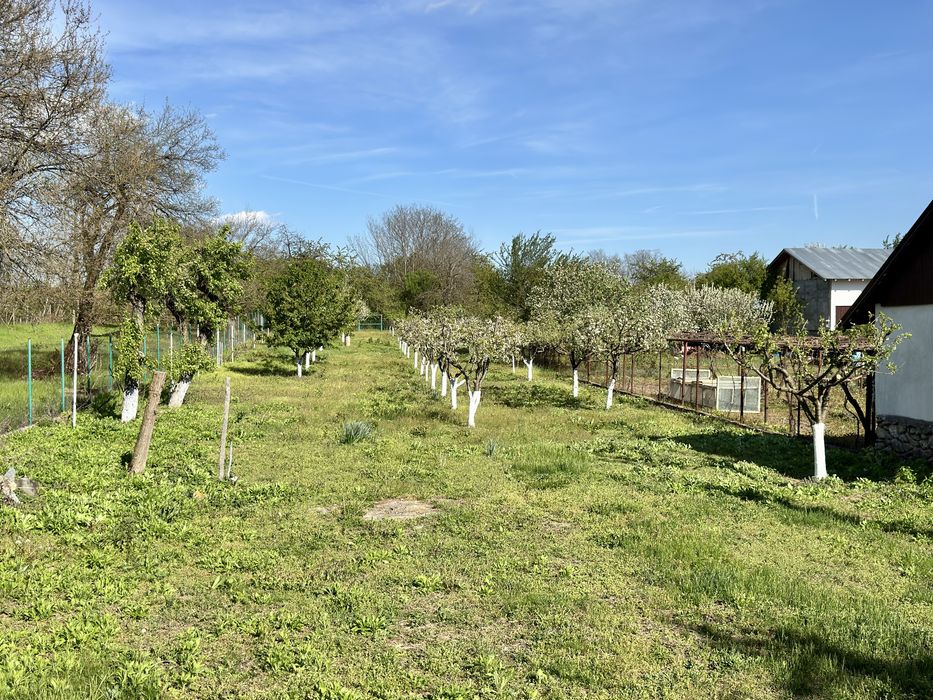 De vânzare casă Stănești-Alexeni casa+teren 6150mp