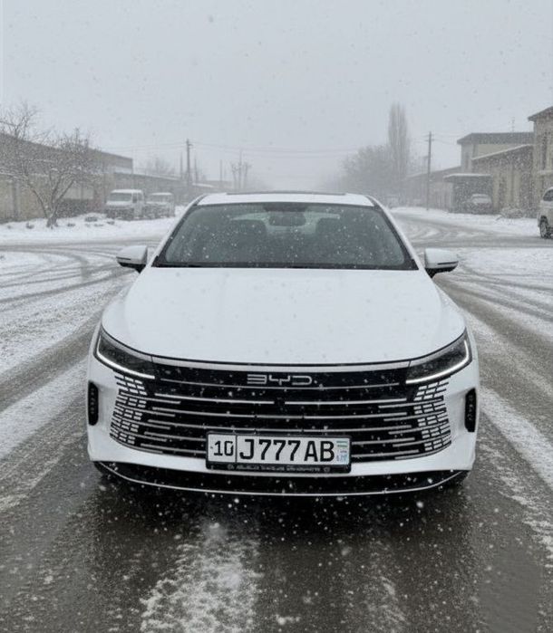 Byd Chazor 2025 Arenada Vikup