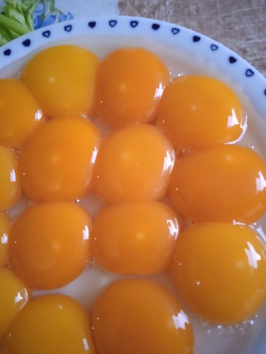 Oua pentru incubat rata indiana alergatoare, cayuga, muta