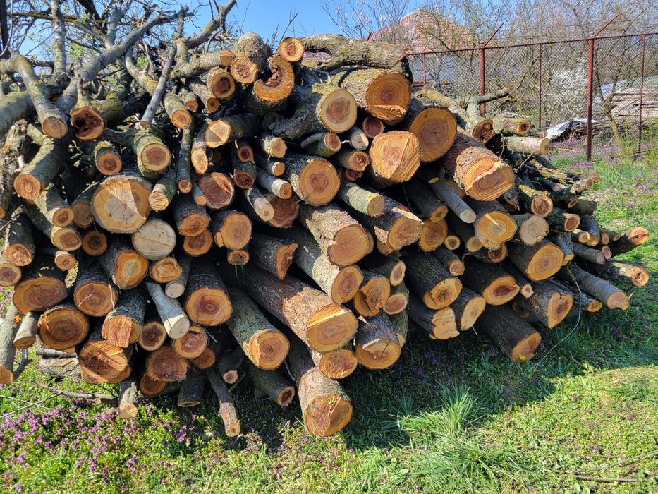 Vand lemne de prun in Ianova