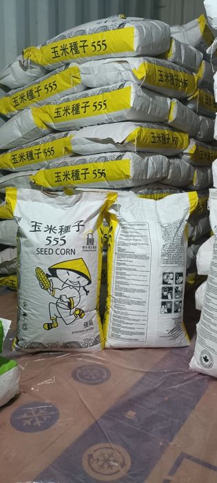 Қытай жүгері ұрығы, Семена Кукурузы Китай