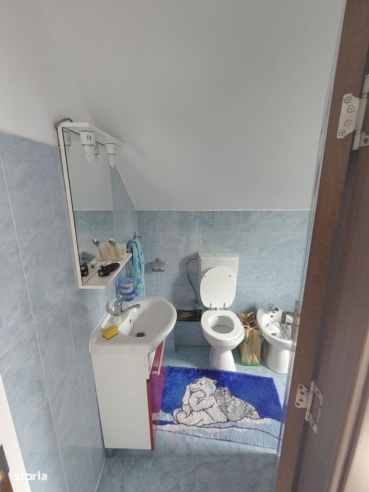 Casa singur in curte in Tocile, Sadu P+M, mobilata si utilata