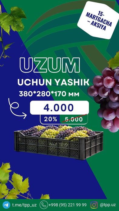 Пластиковый ящик для винограда Акция оптом