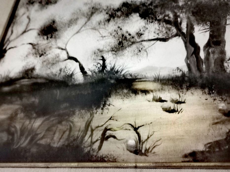 Tablou panza natura* informații *