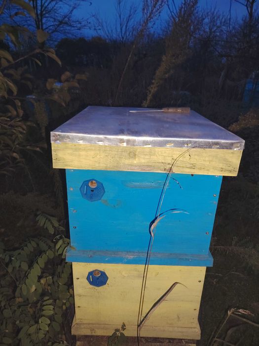 Кошери с по два магазина