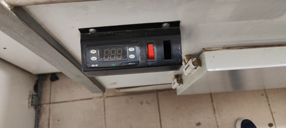 Halodenik Zor iwlid 2ta