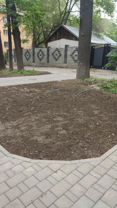 Гидропосев газона