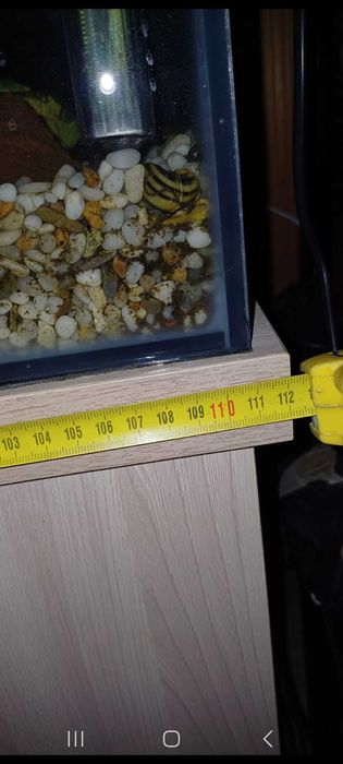 Аквариум для рыб