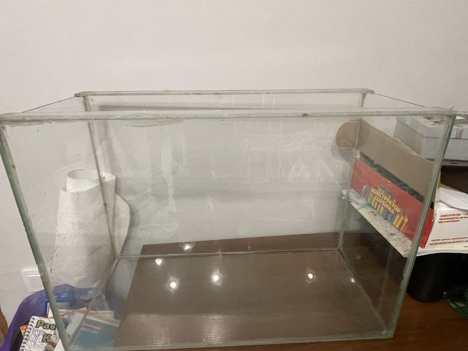 продам черепах в хорошие руки