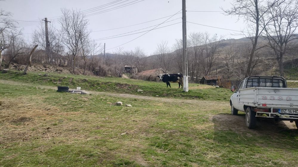 Teren cu casa demolabila, Racovițeni, Buzau