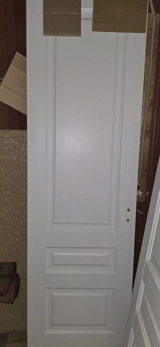 Двери, полотно размер 2300