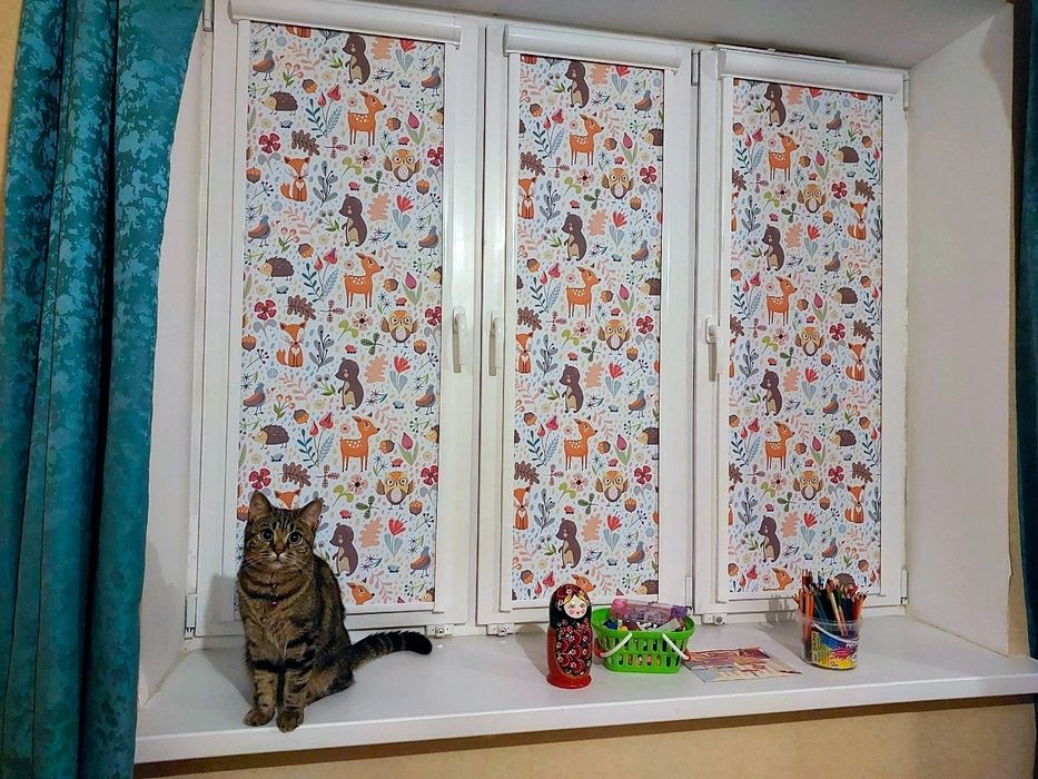 Ролл шторы Жалюзи