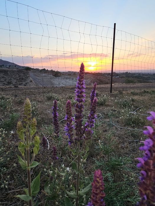 Продам фазенду в горах