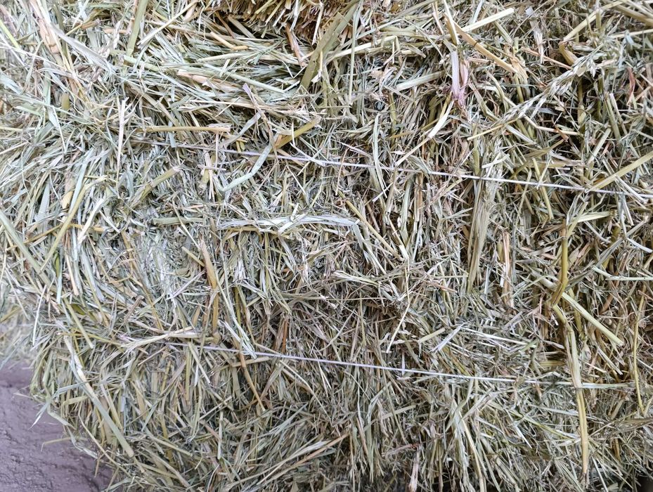 Сено в тюках .  .