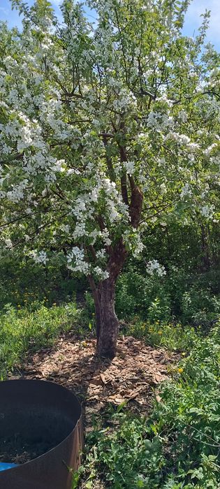 Продам дачу по красноярской трассе