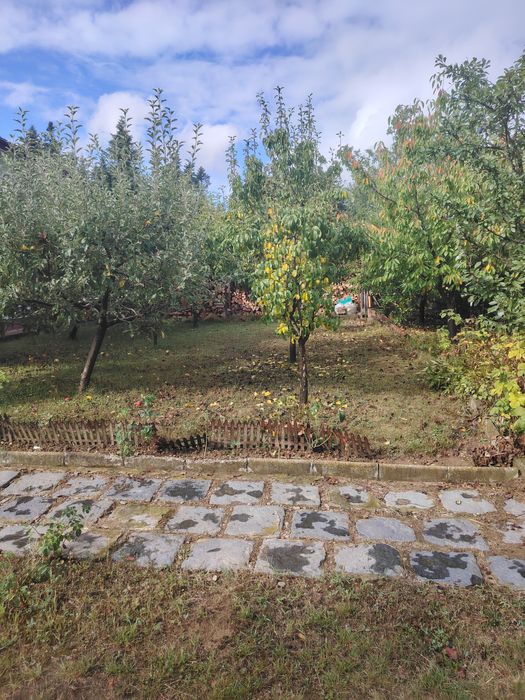 Casă de vânzare /casă de e