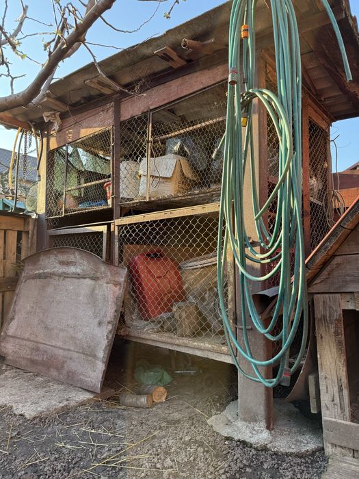 Coseri depozitare porumb sau crescut iepuri