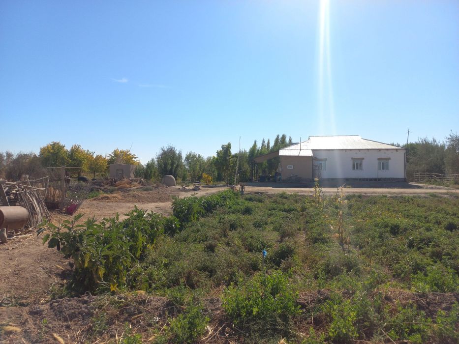 Жай сатылады Жузымбаг