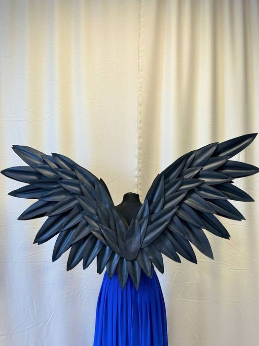 Крылья  демона и ангела