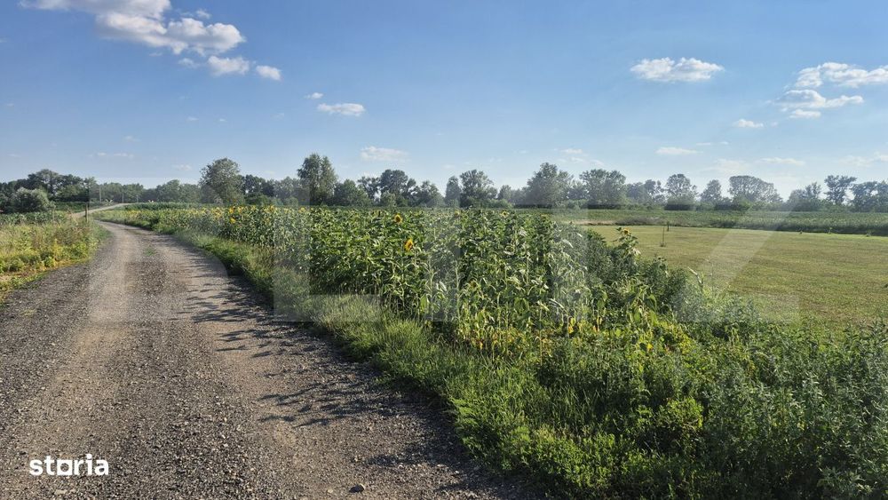 Teren intravilan de vanzare, 3800 mp, zona Titulescu